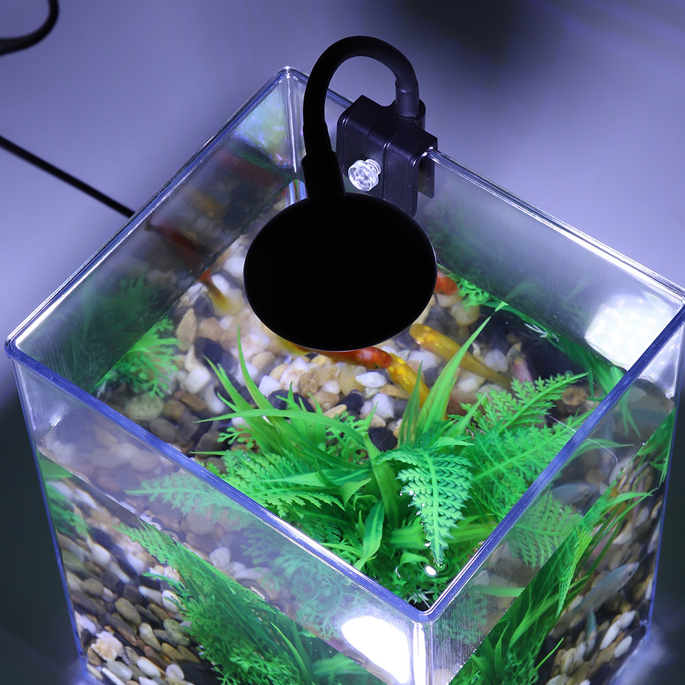 USB Desktop Aquarium Set-einfa – Office Technician Bewertung und Preis